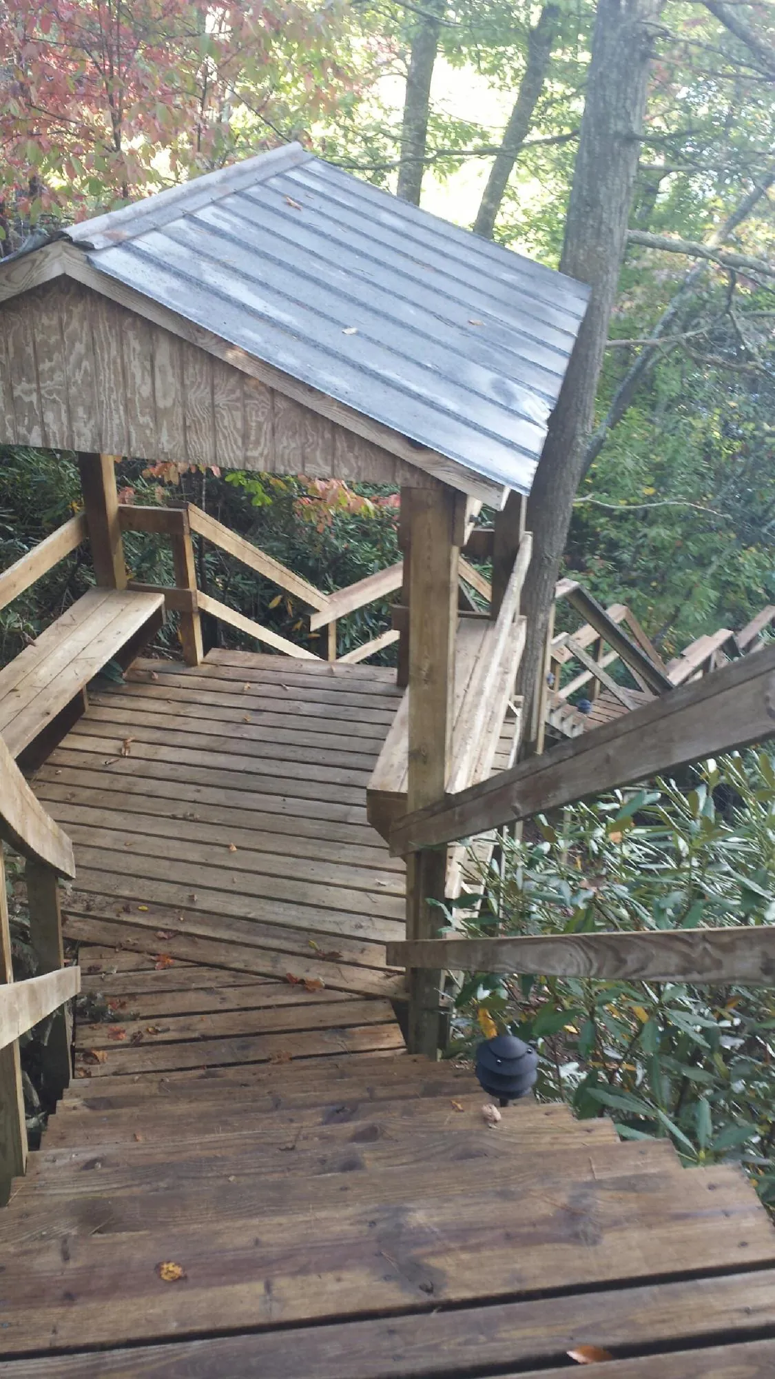 Metal roofed shelter over wooden steps on a wooded walkway — Skylight Repair & Installation work by our crew in Pomaria